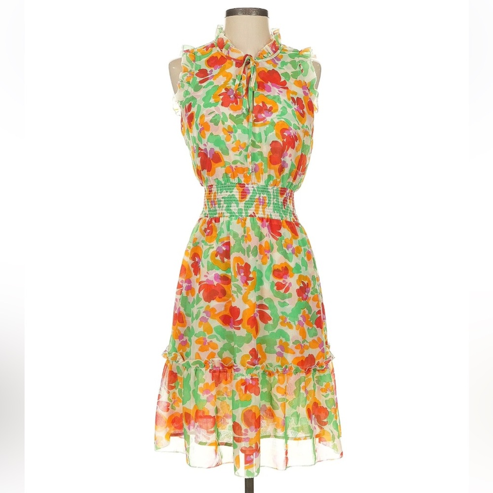 CABI Spirit Dress Size Small